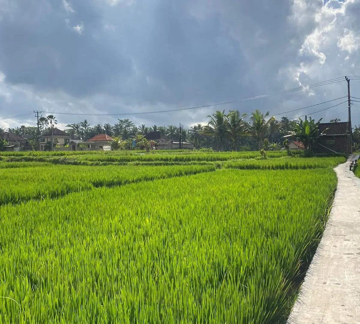 Antira Private Villa Ubud
